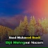 Saad Mahmood Saadi