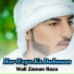 Wali Zaman Raza