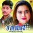 Raheel Rawal