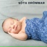 Sömnmusik för Bebisar, Avslappnande Vaggvisor