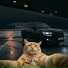 MOTOCAT