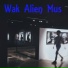 Wak Alien Mus