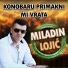 Miladin Lojić