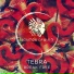 Tebra