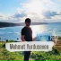 Mehmet Yurduseven