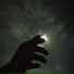Night Lover