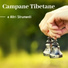 Meditazione Campane Tibetane