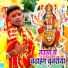 Nitish Bind