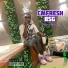 cmfresh