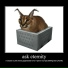 ask eternity