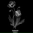 Kidskeep.Z
