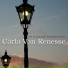 Carla Van Renesse
