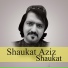 Shoukat aziz