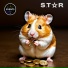 S.Tar