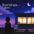 Borminex