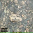 few.ray, lfe1ry