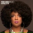 The Terri Green Project