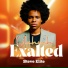 Steve Elite feat. Success Monday