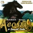 Banda Sinaloense Hermanos Acosta