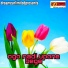 debjit