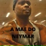 David Bolado