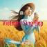 MINH DUC DUONG