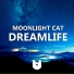 Moonlight Cat