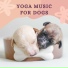 Yoga Relax