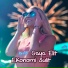 DJ Maya FYZ