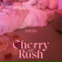 Cherry Bullet (체리블렛)
