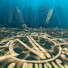 eNDee