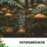 Cat Music Therapy, Rain Wonder, Entspannungsmusik
