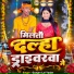 Gunjan Lal Yadav