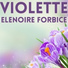 Elenoire Forbice