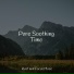 Spa Isochronic Tones Lab, Instrumental, Tinnitus