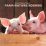 Nature Ambient Sounds