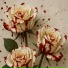 NAMMOR