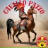 Pollo Shock!