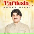 Ameer Niazi