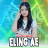 Cantika Davinca feat. Ageng Music