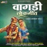 Laxmi Meena, Geetabai Meena, Amra Meena