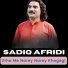 Sadiq Afridi