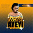 Roselyn Boateng feat. Jack Alolome