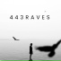 443RAVES