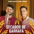 Roney Allves, Davi Ferraz