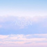 Aloen