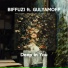 BIFFUZI feat. GULYAMOFF