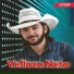 VELLOZO NETO