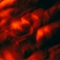 BSEARL, Visages