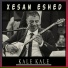 Xesan Eshed